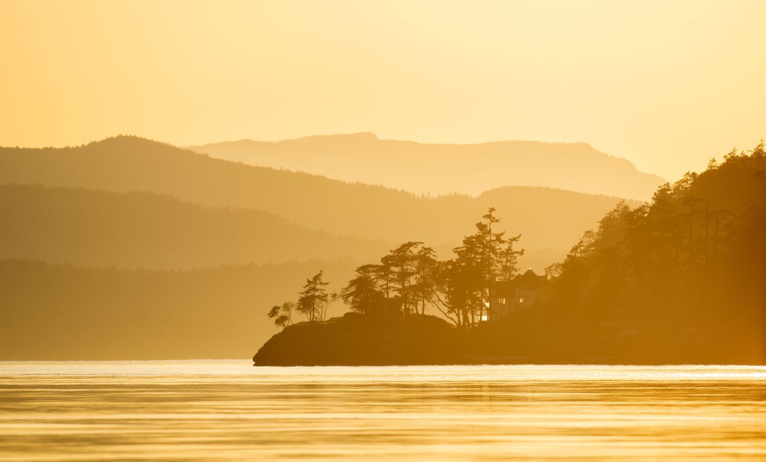 An island and water in shades of gold at sunset.