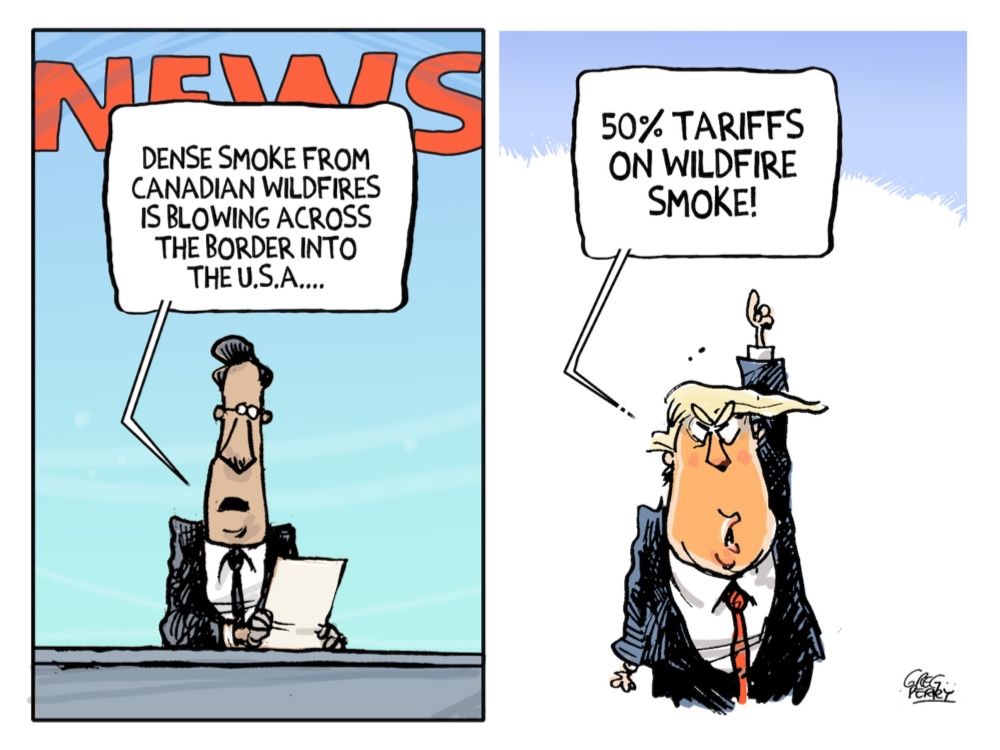 A cartoon shows two frames. On the left is a newscaster holding a piece of paper with a speech bubble above him saying, ‘Dense smoke from Canadian wildfires is blowing across the border into the U.S.A.’ On the right, Donald Trump has one arm raised toward a speech bubble above him saying, ‘50 per cent tariffs on wildfire smoke!’