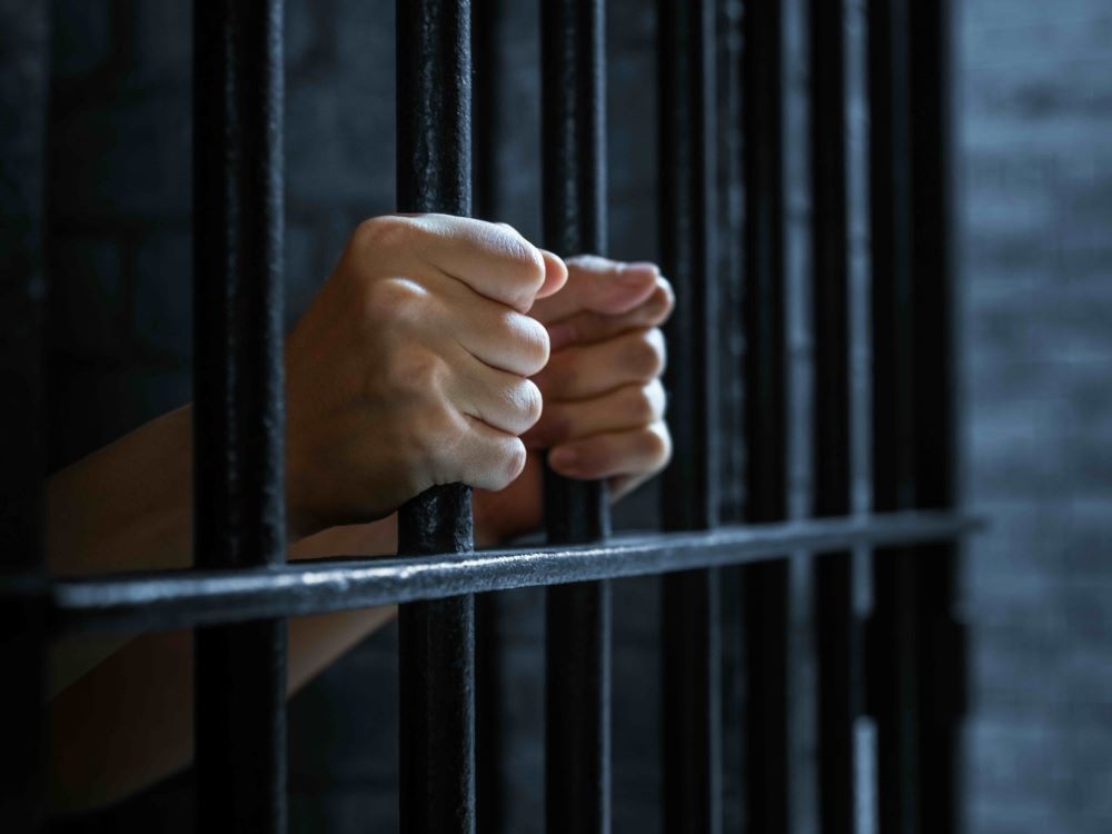 Two hands hold onto cell bars.