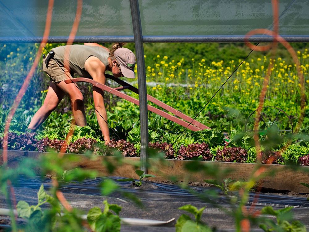 BC Has a Farming Problem. Here’s How to Fix It
