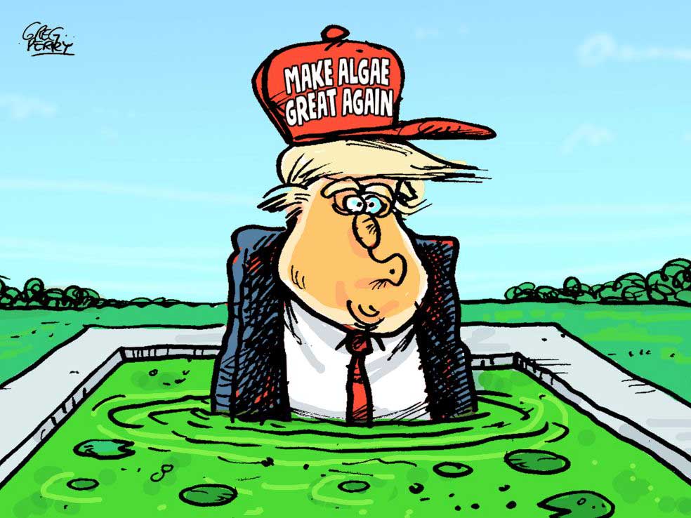 Colourful cartoon depicts Donald Trump chest deep in a green coloured reflecting pool wearing a red ball cap that says "Make Algae Great Again."