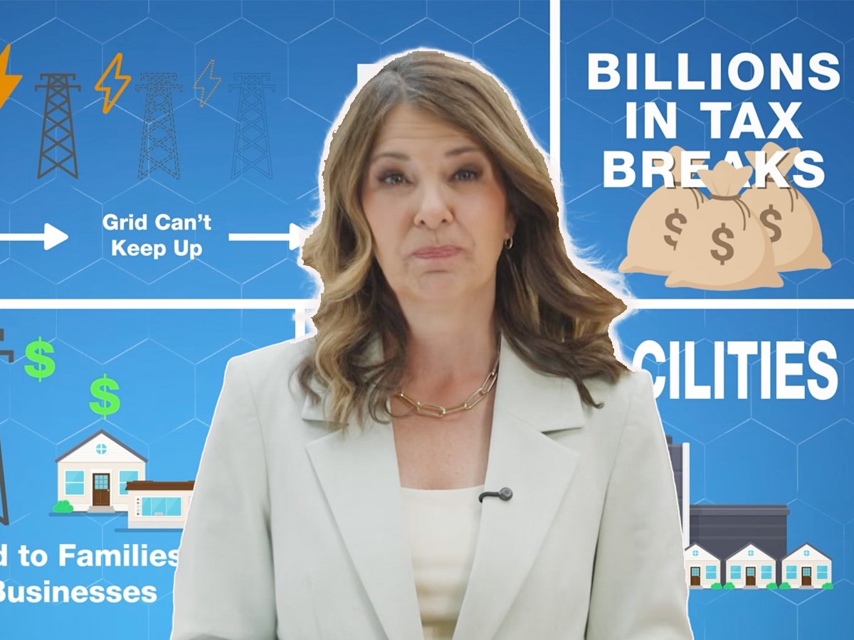 A cut-out photo shows a middle-aged woman with long wavy brown hair wearing a white suit. The background of the images is a cartoonish graphic with bags of money, electrical towers and the words &lsquo;Billions in tax breaks.&rsquo;