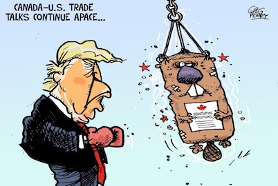 Please Advise! Will Trump’s Tariffs Crush Us?