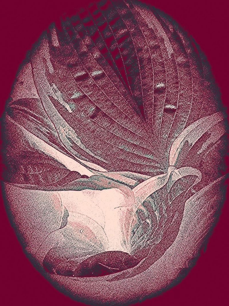 An abstract piece of artwork uses red tones and features a patterned egg-shaped piece of work that fills the frame.