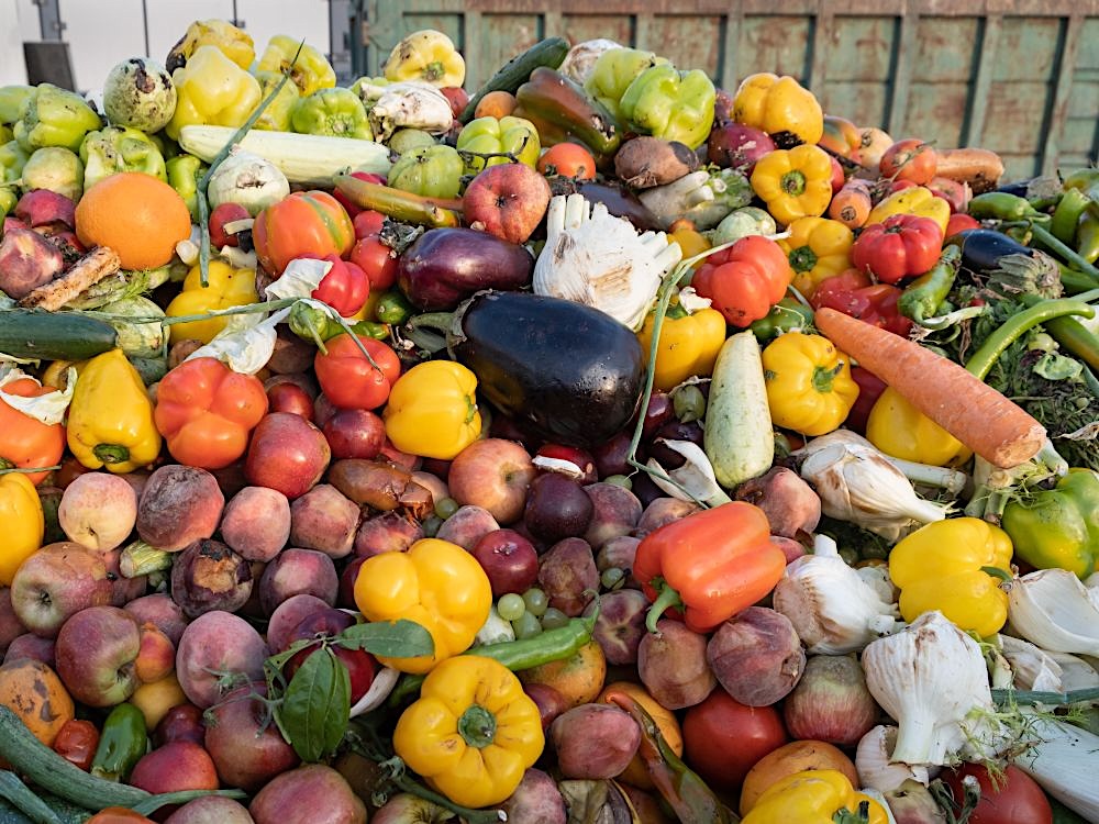 A large pile of fruits and vegetables, some looking well past their prime, with a dumpster in the background.