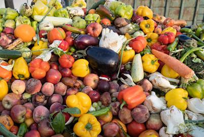 Want to Make Food Affordable? Tackle Food Waste