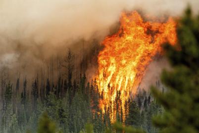 I Used to Believe Climate Change Was a Hoax