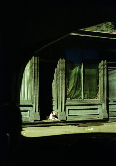 TTD_SAUL-LEITER.png