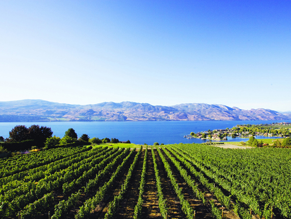 Quail's Gate winery