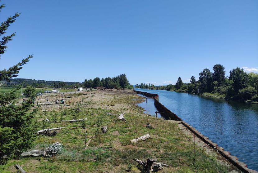 Bringing Salmon Home to Kus-kus-sum