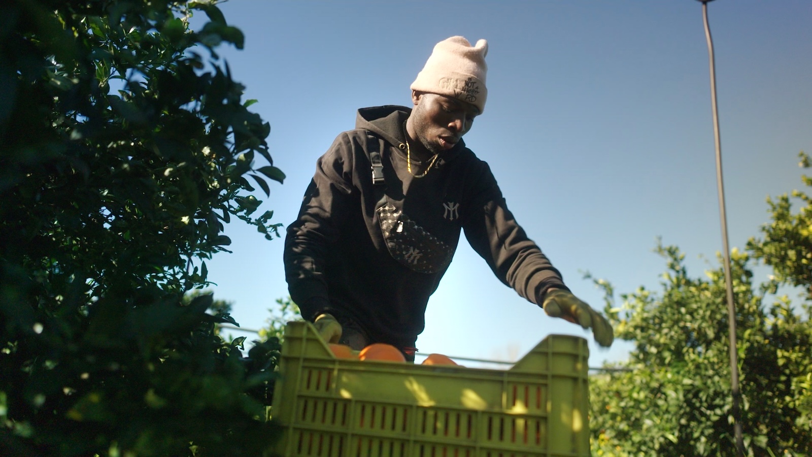 A young man wears a light beige toque, a black hooded jacket and a black cross-body bag while leaning over a bright green crate containing round orange fruit. He is surrounded by shrubbery and behind him is a bright blue sky.