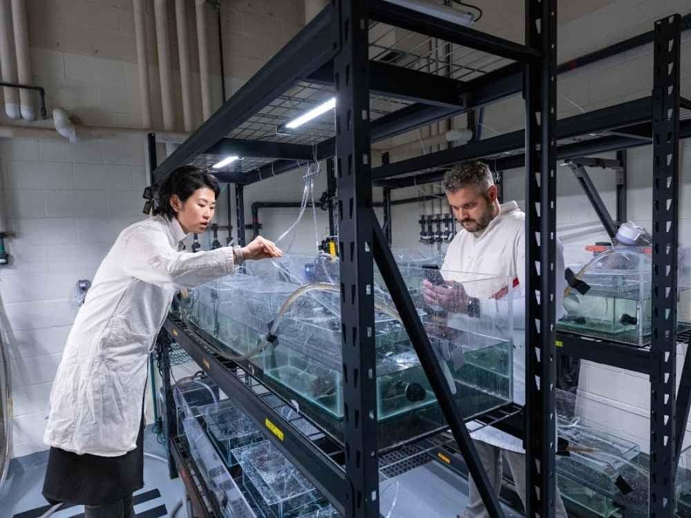 BC’s Green Talent Crunch