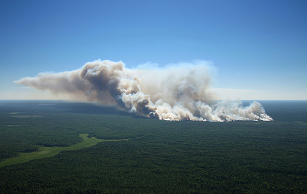 Bottom Lines: A Quarter Century Report On Canada's Natural Security