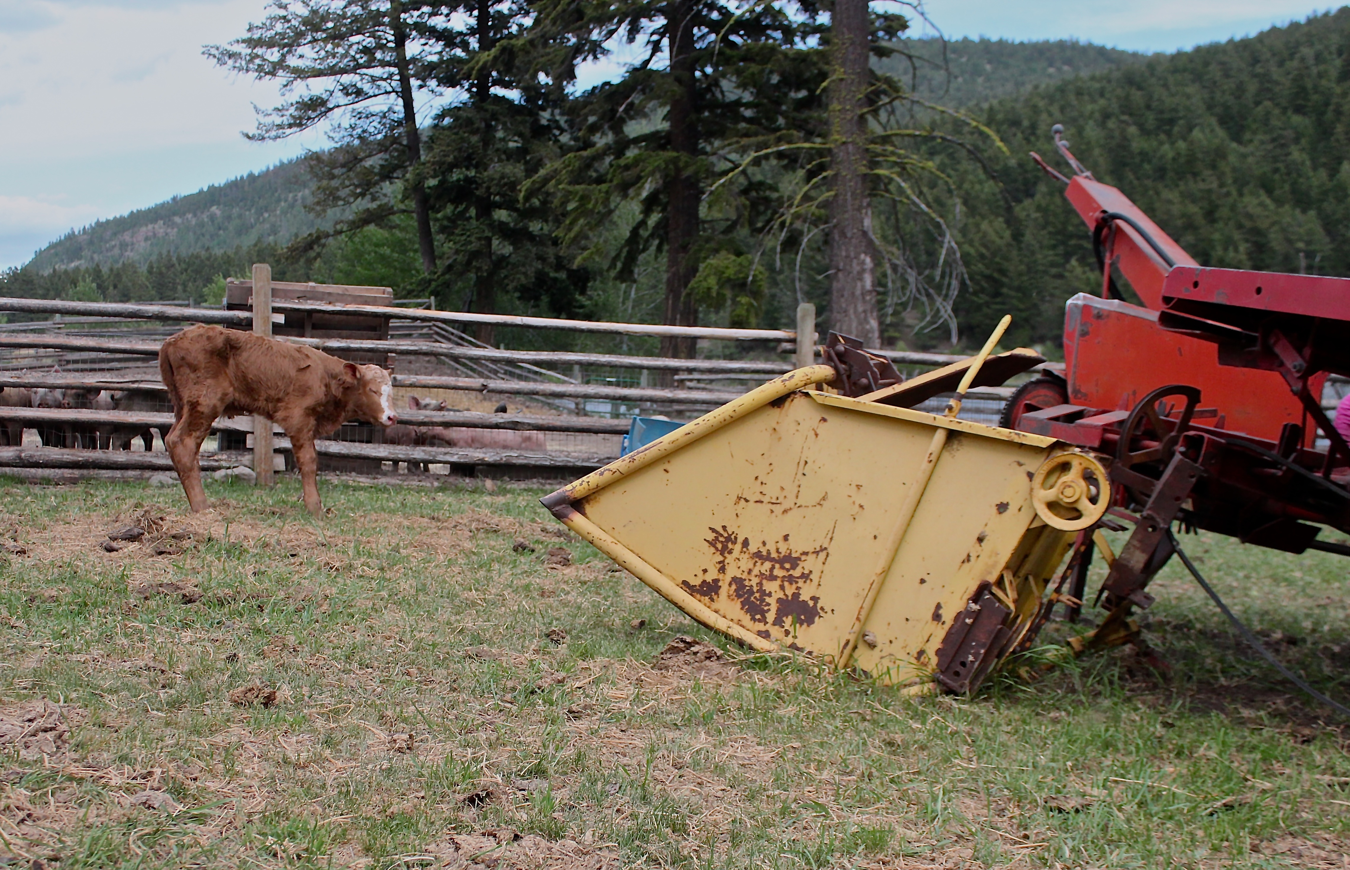 ‘You Live, You Breathe the Farm’