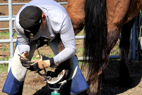 For These First Nations Students, the Future Is Horses