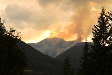 The Election and the Climate Crisis: A Tyee Reader