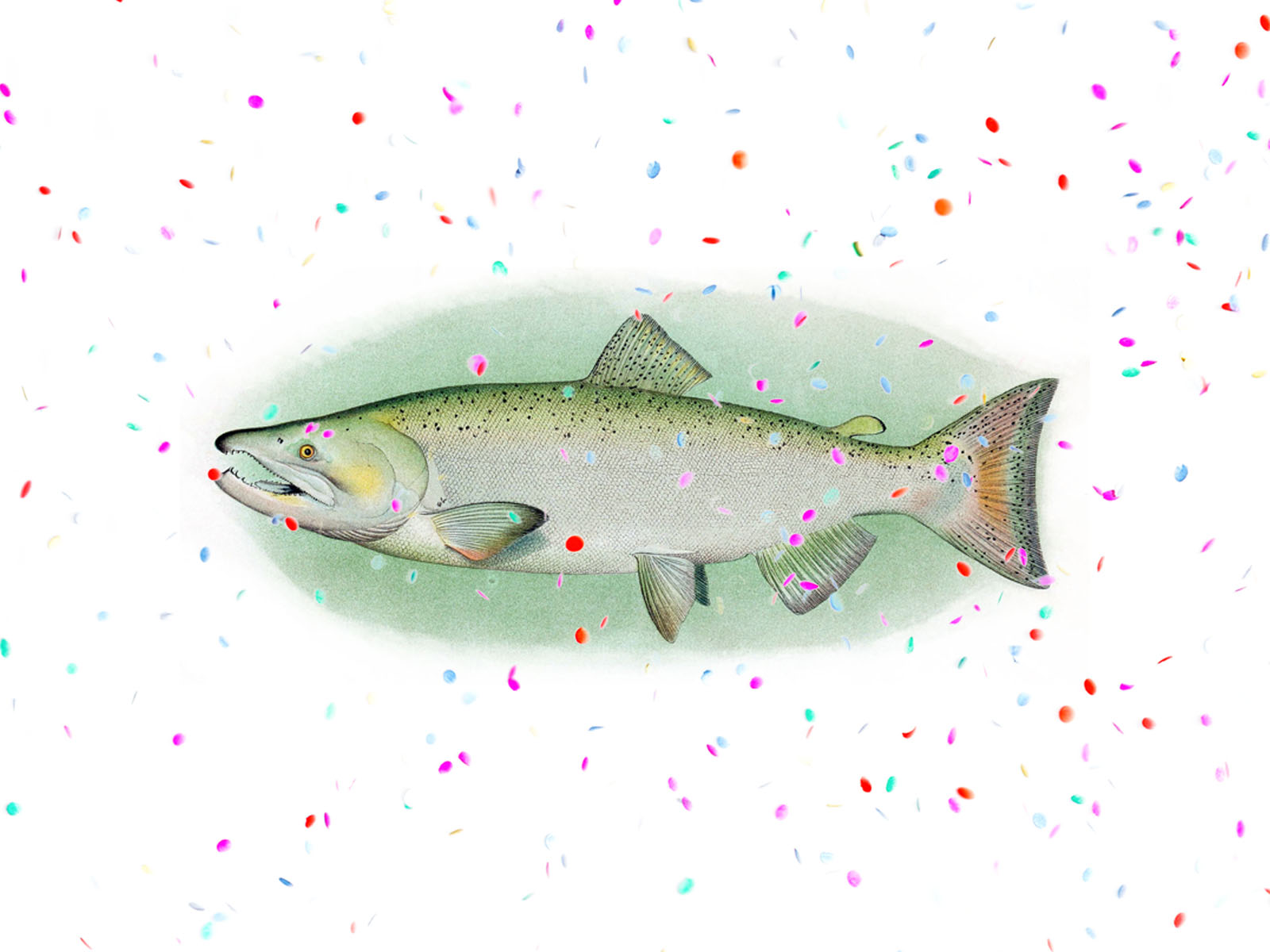 Happy-Fish-Confetti.jpg
