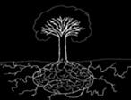 Tree-Brain.jpg