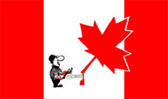 Lumberjack cutting down maple leaf (illustration)