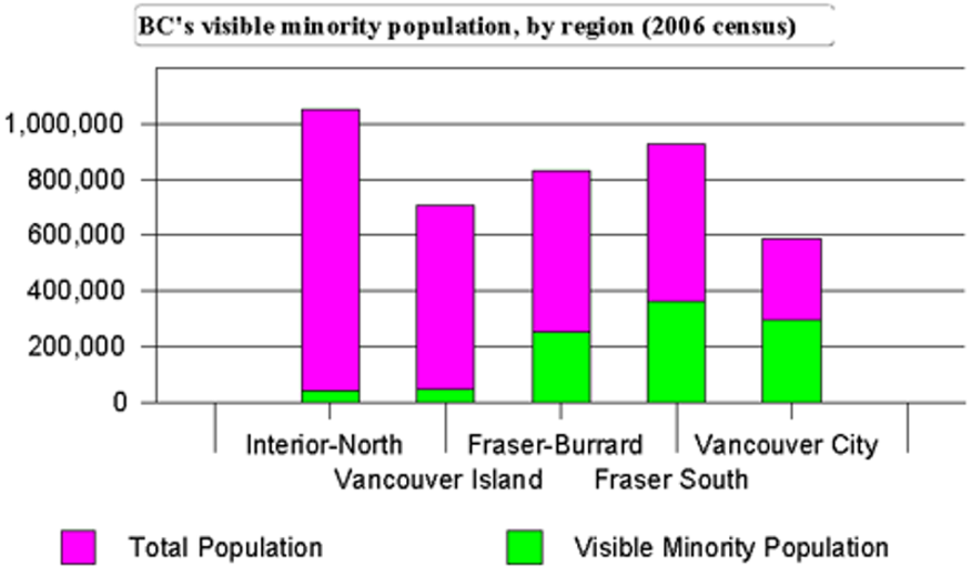 Charting the Votes of Visible Minority Members