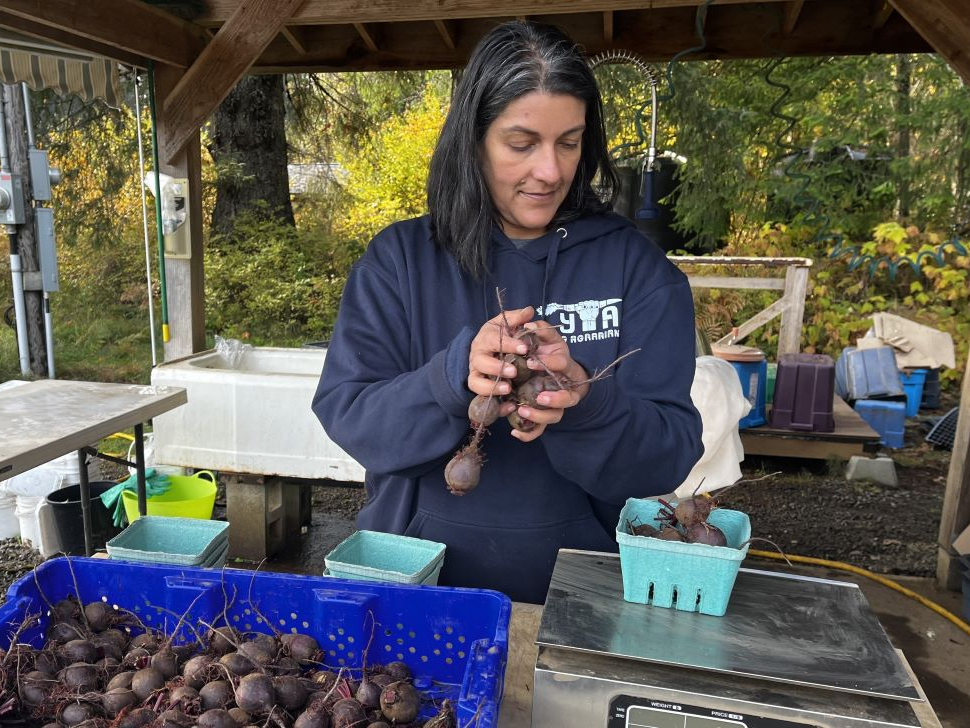 A woman with shoulder-length black hair streaked with grey is working in a sheltered space outdoors. She's wearing a blue hoodie and holding a handful of beets.