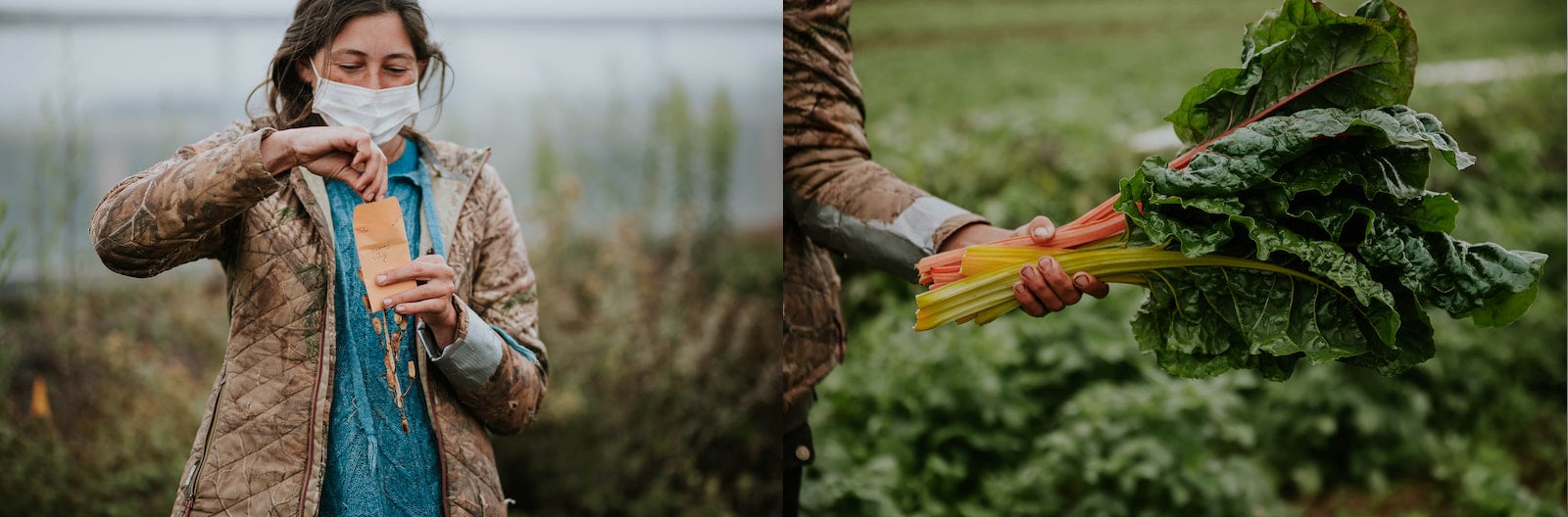 Two photos are side by side. On the left, a woman holds a brown envelope. She has shoulder-length dark hair and wears a light blue sweater and open jacket and a surgical mask. On the right, a hand holds a bundle of rainbow chard.