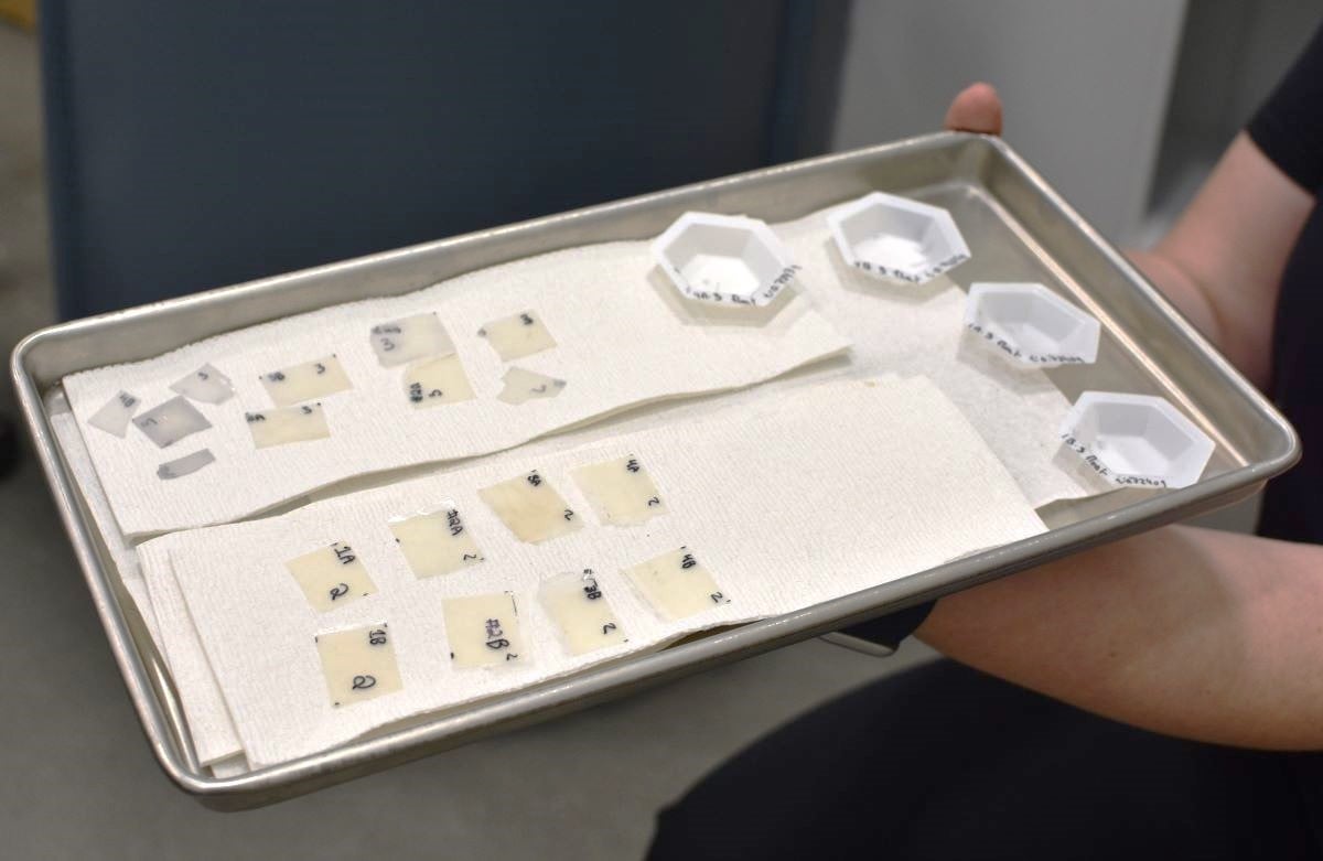 A tray holds small pieces of labelled translucent material.