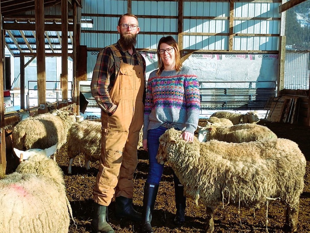 A man and woman stand in a pen in a barn surrounded by about eight woolly sheep.