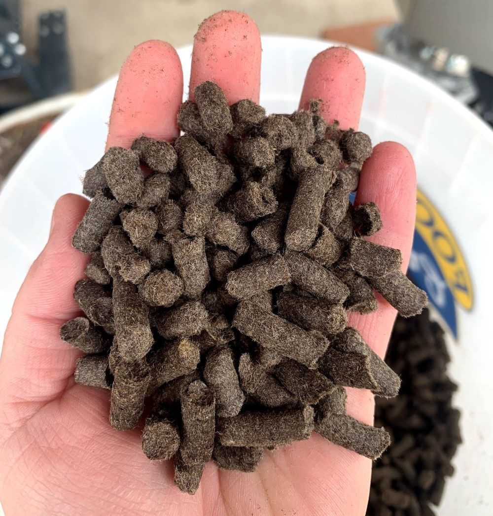 A person holds a handful of pelletized wool compost.