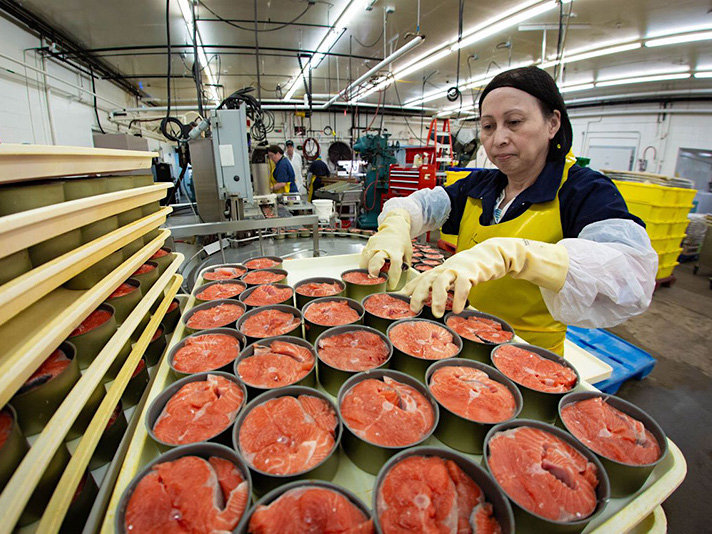 A woman with medium-light skin tone handles open cans of salmon. She is wearing yellow and black personal protective equipment and a hairnet.