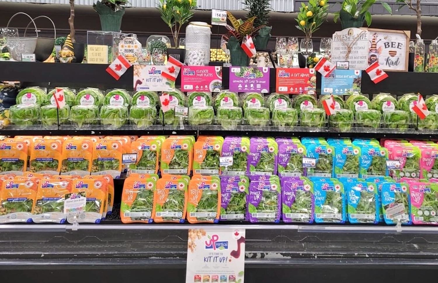 An array of packaged salad kits in the produce section of a grocery store.