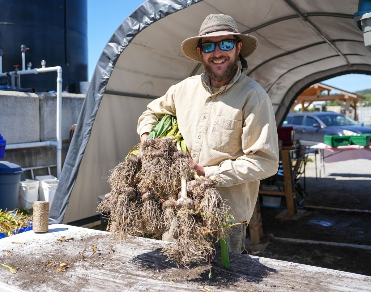 A man with a light skin tone and beard, wearing a sun hat and sunglasses and a cream-coloured long-sleeved shirt, holds a large bunch of garlic plants in his arms.