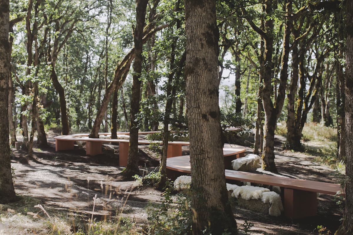 A curved table snakes around a stand of deciduous trees on a sunny day.