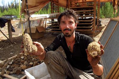 Finding Food in the Forest