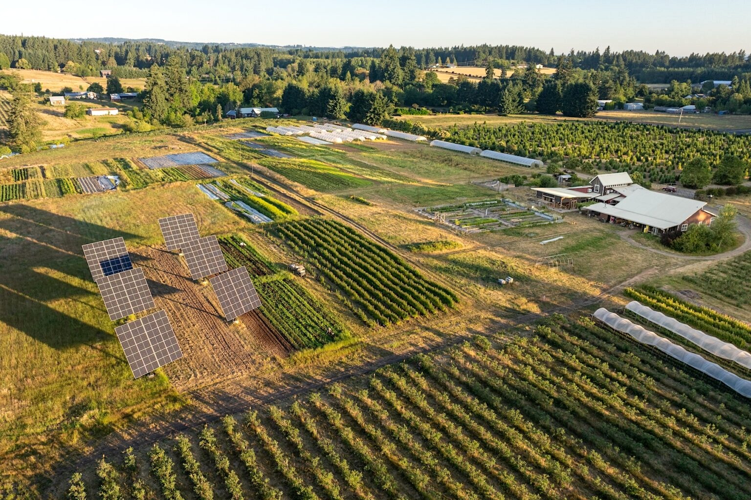 An aerial view shows a tidy farm, with rows of crops and farm buildings, and six large solar panels.