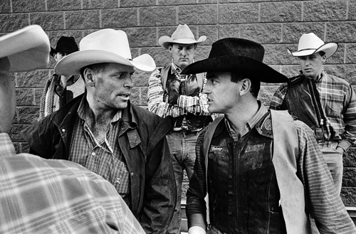 Cowboy Wild Photo Essay #10