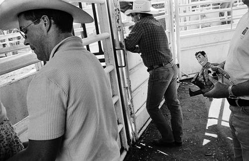 Cowboy Wild Photo Essay #12